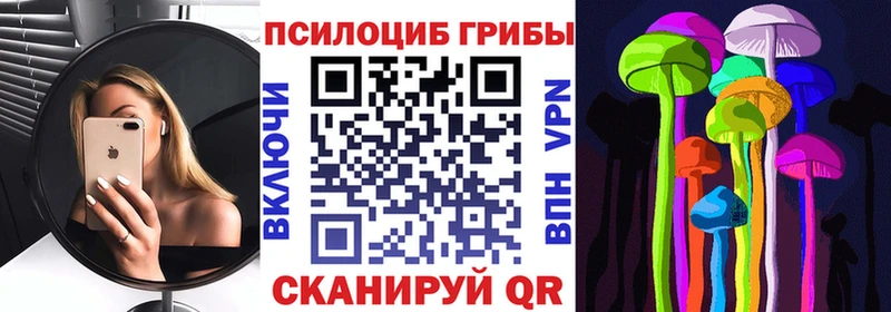 где найти наркотики  Лермонтов  Галлюциногенные грибы MAGIC MUSHROOMS 